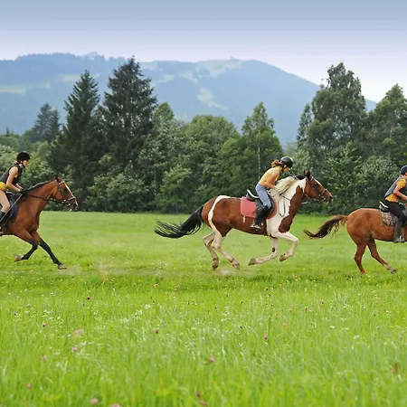 Ξενοδοχείο με διαμερίσματα Alpin