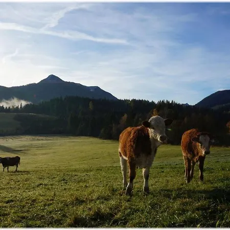 Alpin Hotel apartamentowy 3*